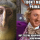 Illustration for article titled So this new species of monkey looks exactly like Alan Tudyk